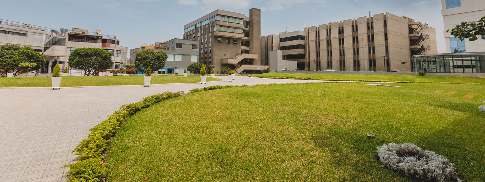 universidad-peruana-cayetano-heredia-neurona